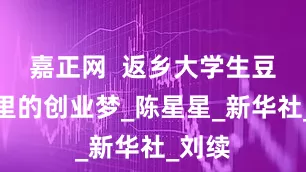 嘉正网  返乡大学生豆腐坊里的创业梦_陈星星_新华社_刘续
