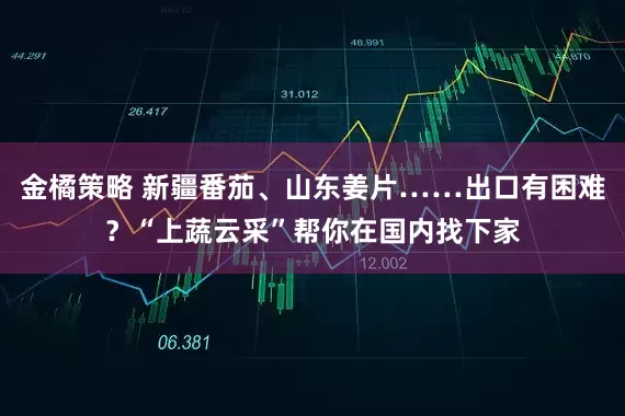 金橘策略 新疆番茄、山东姜片……出口有困难？“上蔬云采”帮你在国内找下家