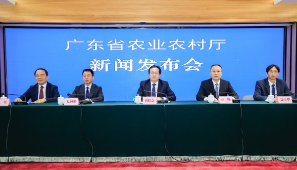 大圣证券 “广弘3号”小白鸡亮相！中国首个“黄羽血缘”小白鸡破解品质难题